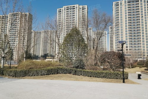 中新國(guó)際城綜合評(píng)測(cè) 優(yōu)點(diǎn)、不足、周邊中介及物業(yè)管理分析